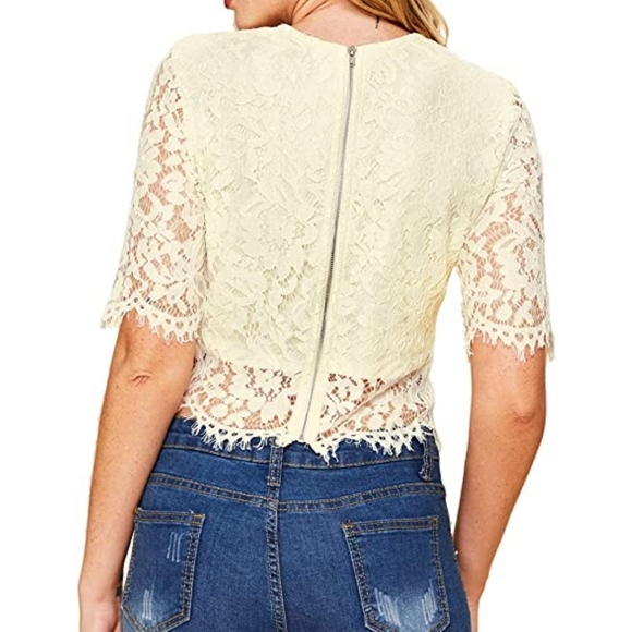 Chiciris Beige Short Sleeve Sexy Sheer Mesh Lace Crop Top Blouse Size Women 2X - Picture 2 of 11